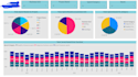develop analytically and graphically representable dashboard using power bi