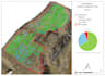 do gis vegetation analysis and mapping, crop counting, ndvi index