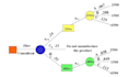 perform decision tree analysis, precision tree, silver decisions