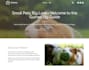 design professional wordpress website with elementor pro