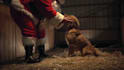 make happy dog christmas greeting video