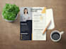 design infographic resume, template, writing, cover letter