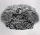 professionally design your chest tattoo