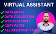 be your professional and administrative virtual assistant, data entry expert
