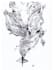 draw birds with handsketch and stunning details