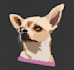 create a professional vector pet illustration