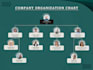 create unique infographic design , uml diagrams and flowchart