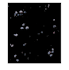 do professional image processing using matlab