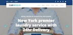 design wordpress website and optimize speed