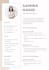 provide a professional resume design eye catching CV layout