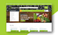 create redesign responsive website in wordpress