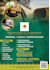 food,salon,spa flyer design, menu design