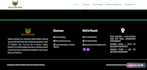 crafting stunning and responsive websites