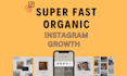 do super fast organic instagram growth and marketing