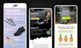 create a professionally designed email newsletter
