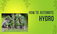 hydroponic vertical system design fix optimize