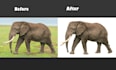 remove background and do photo manipulation professionally