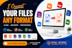 convert and edit your pattern files dxf ai PDF