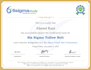 do lean six sigma and industrial engineering projects