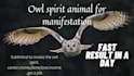 provide custom subliminal affirmations bundle with instant results guranteed