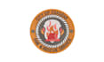 do professional embroidery digitizing everyday