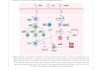 write scientific article for journal publication involving google scholars