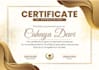 design voucher, gift certificate, postcard, ticket and label