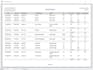 design microsoft access business solutions