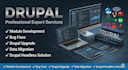 develop drupal cms website API integration and headless solution
