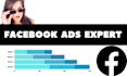 setup high conversion fb ads and facebook advertising campaign