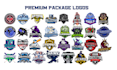 design a custom sports logo and brand identity