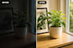 upscale and enhance image quality professionally