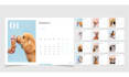 design a printable annual calendar for the year 2025