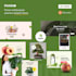 design shopify store website