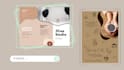 do socal media designs using canva in 2 days