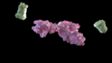 do 3d medical animation video super fast
