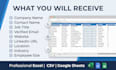 create your icp and build targeted b2b leads with verified emails