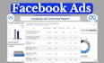 set up professional facebook advertising campaigns