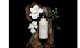 design luxury perfume packaging, label, and box design