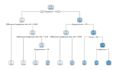 do statistical consultancy and projects and lessons