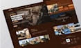 develop premium business website using wordpress with SEO