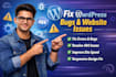 quickly fix or repair website bugs issues and wordpress problems