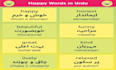 be your online urdu teacher
