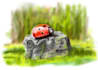 create vector illustration and art
