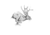 create ink, pen and sketched artworks