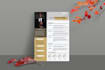 create professional resume design and CV design