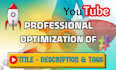 do best youtube video SEO expert optimization and channel growth manager