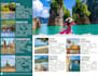 do travel agency website and SMM
