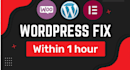 fix wordpress issues,problems, bugs, and errors database error wordpress website