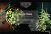 do magazine and book page layout design
